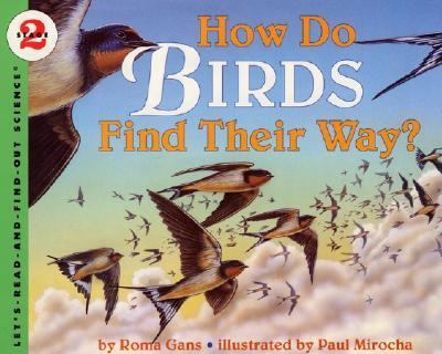 How do birds find their way?