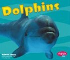 Dolphins