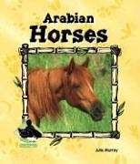 Arabian horses