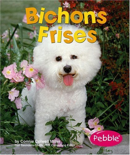 Bichons frises