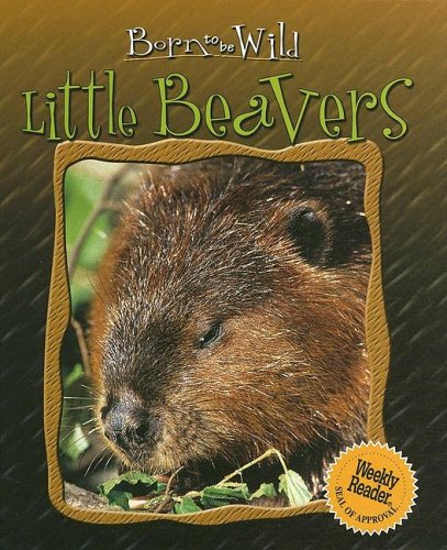 Little beavers