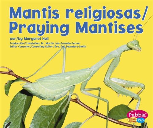 Praying mantises