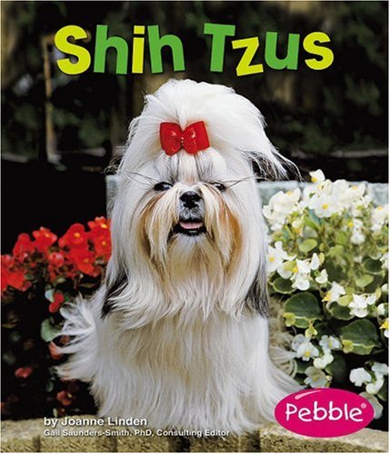 Shih tzus