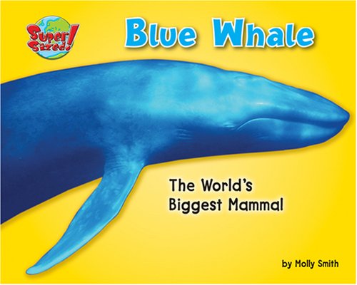 Blue whale : the world's biggest mammal
