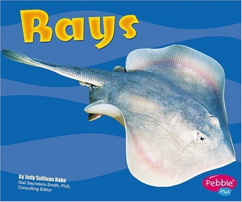 Rays