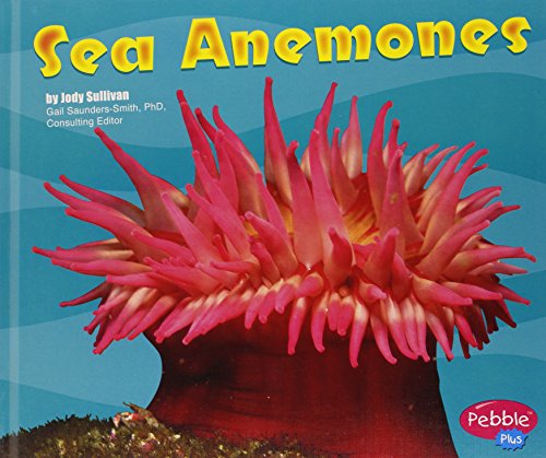 Sea anemones