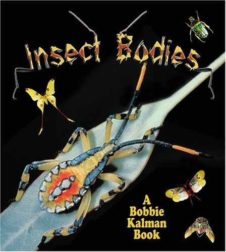 Insect bodies