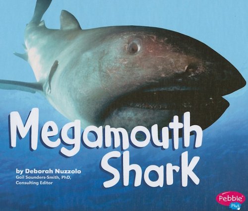 The megamouth shark