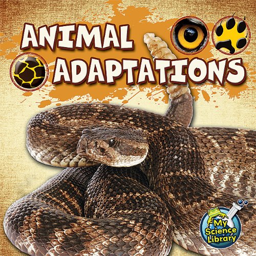 Animal adaptations