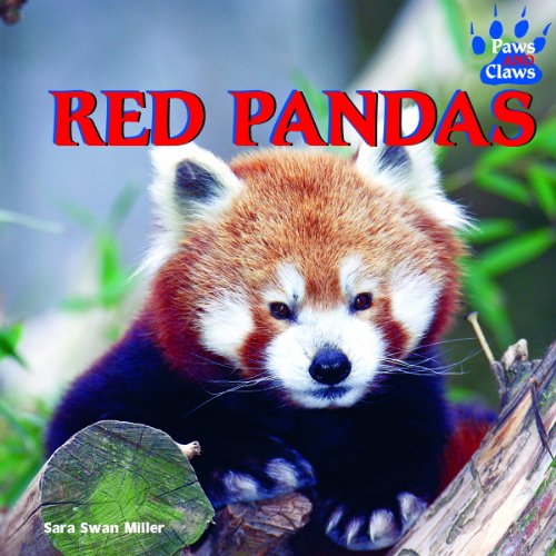 Red pandas