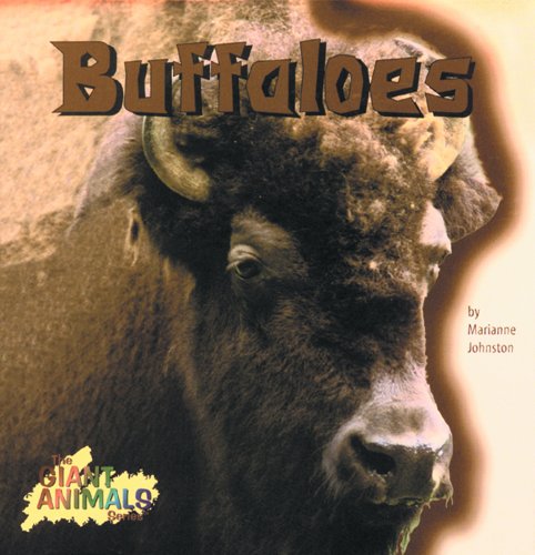 Buffaloes