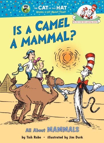 Is a camel a mammal?