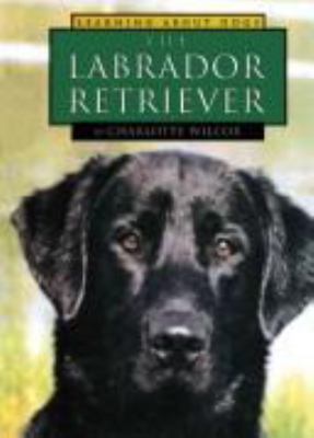 The Labrador retriever