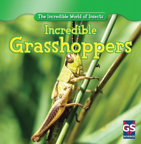 Incredible grasshoppers