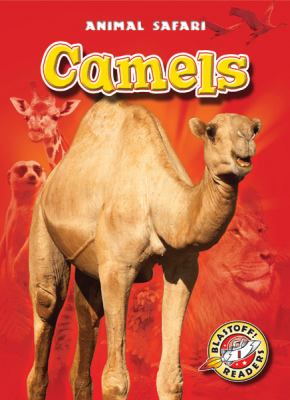 Camels