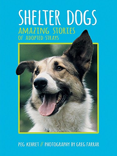 Shelter dogs : amazing stories of adopted strays
