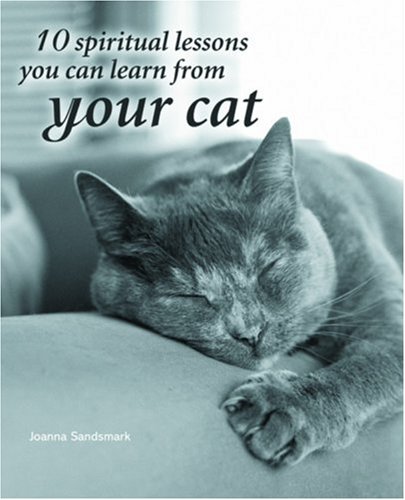 10 spiritual lessons you can learn from your cat