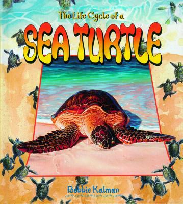 The life cycle of a sea turtle