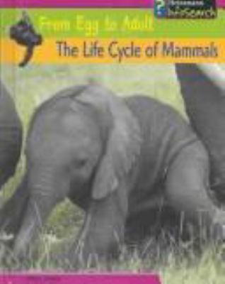 The life cycle of mammals