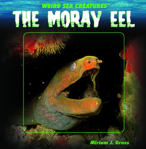 The moray eel