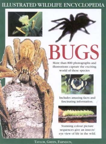 The big bug book : discover the amazing world of beetles, bugs, butterflies, moths, insects and spiders