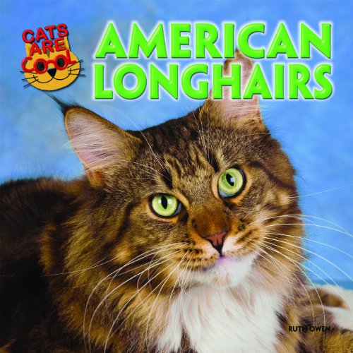 American longhairs