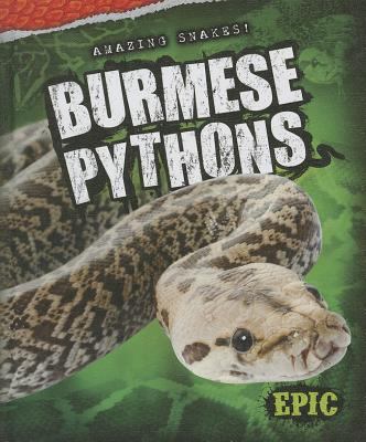 Burmese pythons