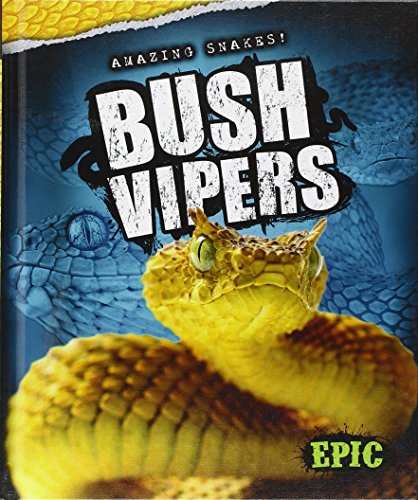 Bush vipers