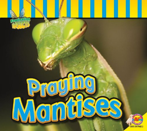 Praying mantises /