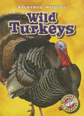 Wild turkeys