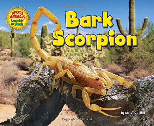 Bark scorpion