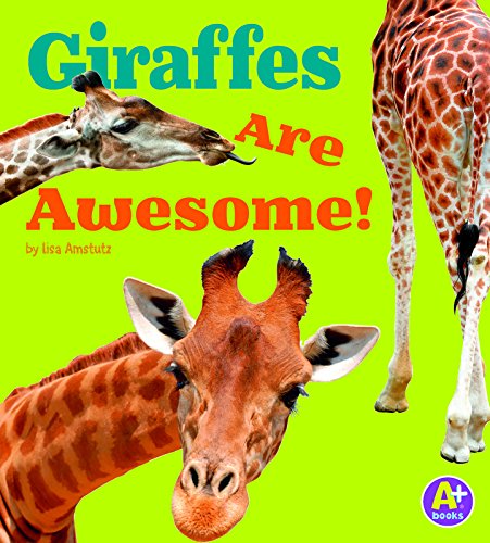 Giraffes are awesome!