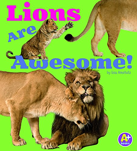 Lions are awesome!