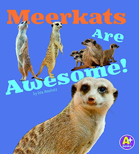 Meerkats are awesome!