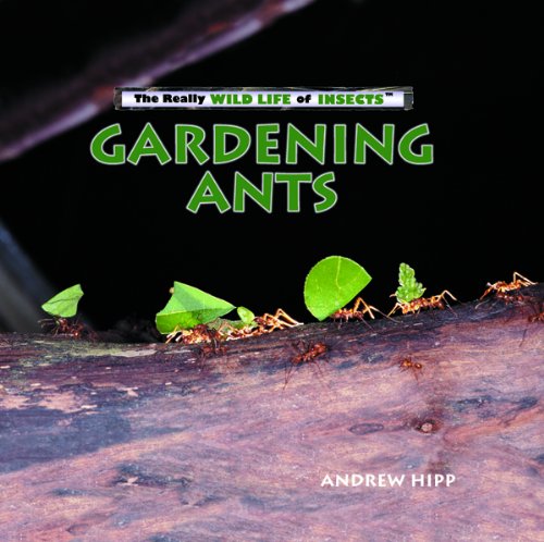 Gardening ants