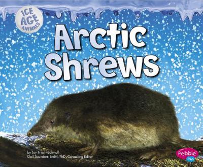 Arctic shrews