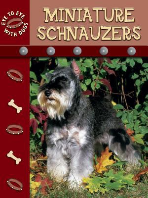 Miniature schnauzers