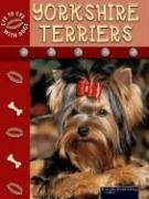 Yorkshire terriers