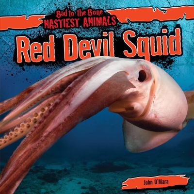 Red devil squid