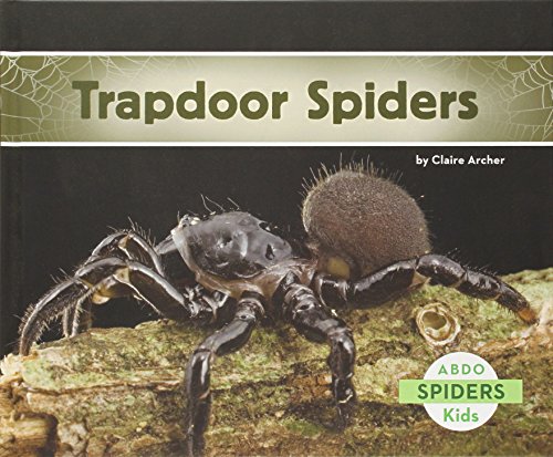 Trapdoor spiders