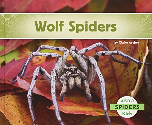 Wolf spiders