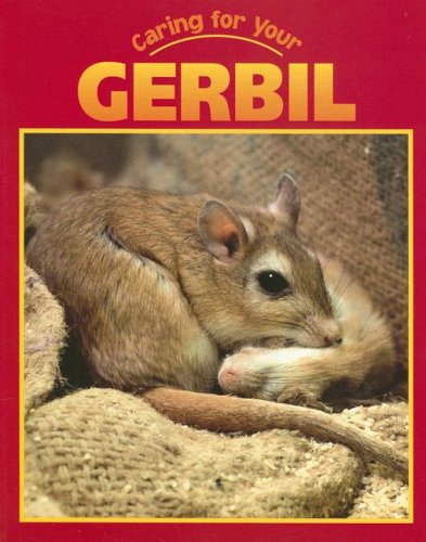 Caring for your gerbil