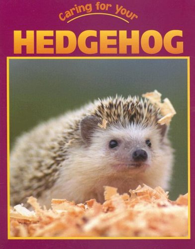 Caring for your hedgehog