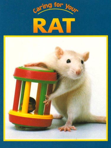 Caring for your rat