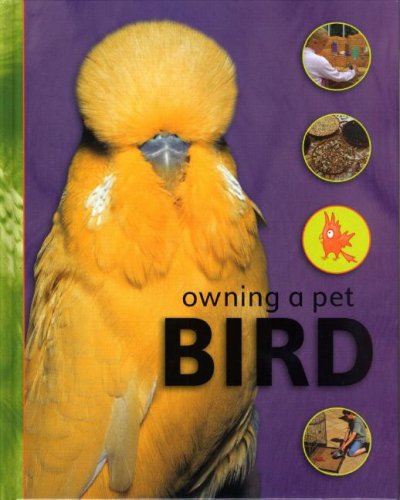 Owning a pet bird