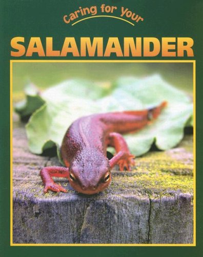 Caring for your salamander