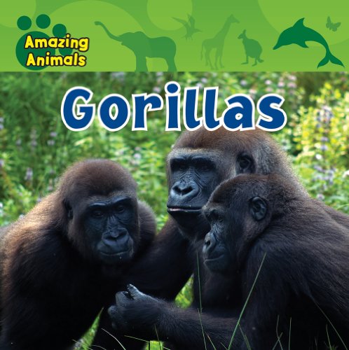 Gorillas