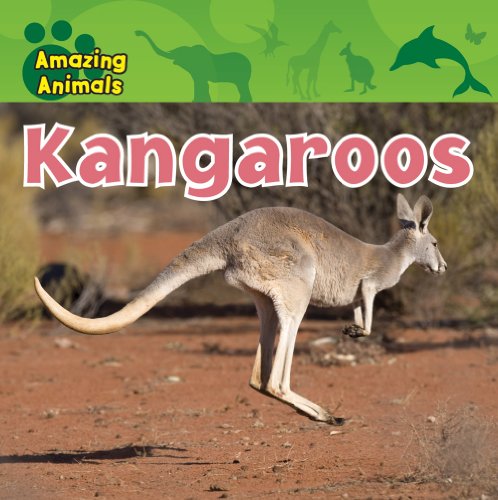 Kangaroos