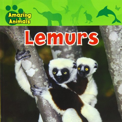 Lemurs