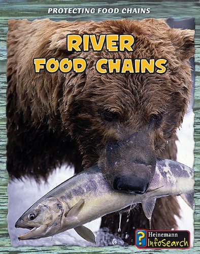River food chains /